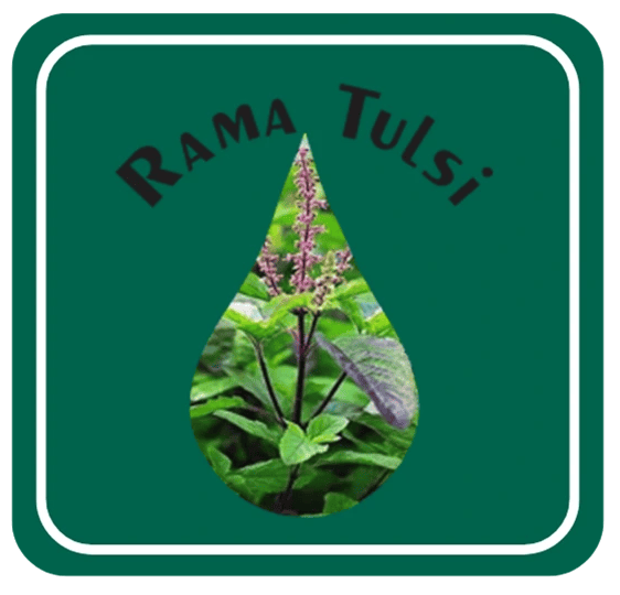 Rama Tulsi