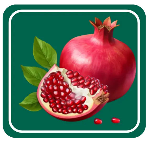 Pomegranate