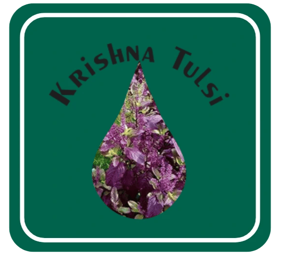 Krishna Tulsi