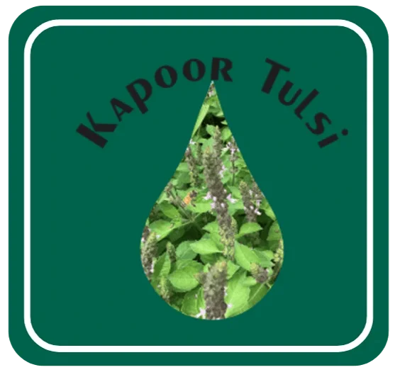 Kapoor Tulsi