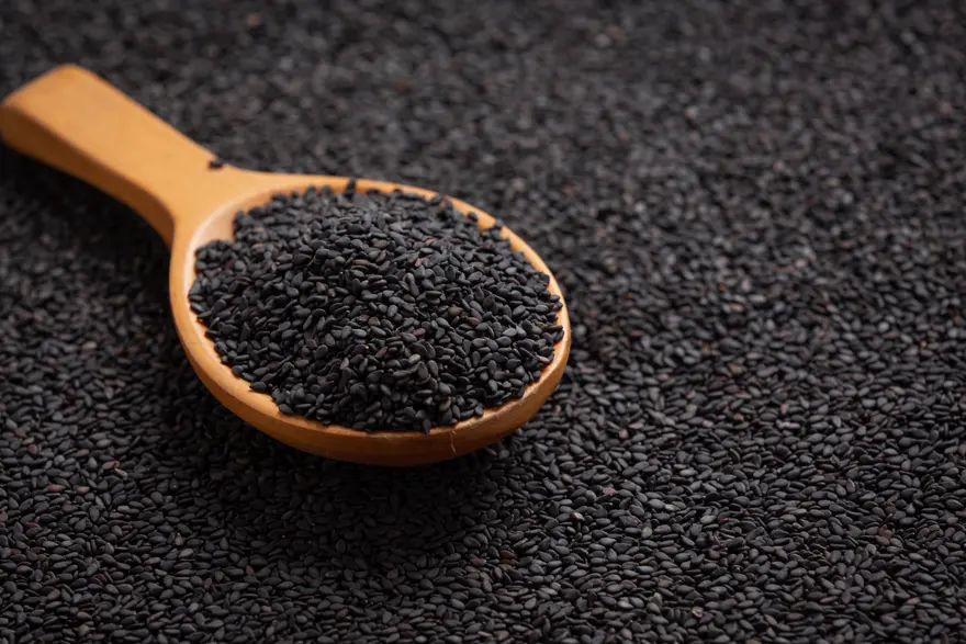 Shilajit