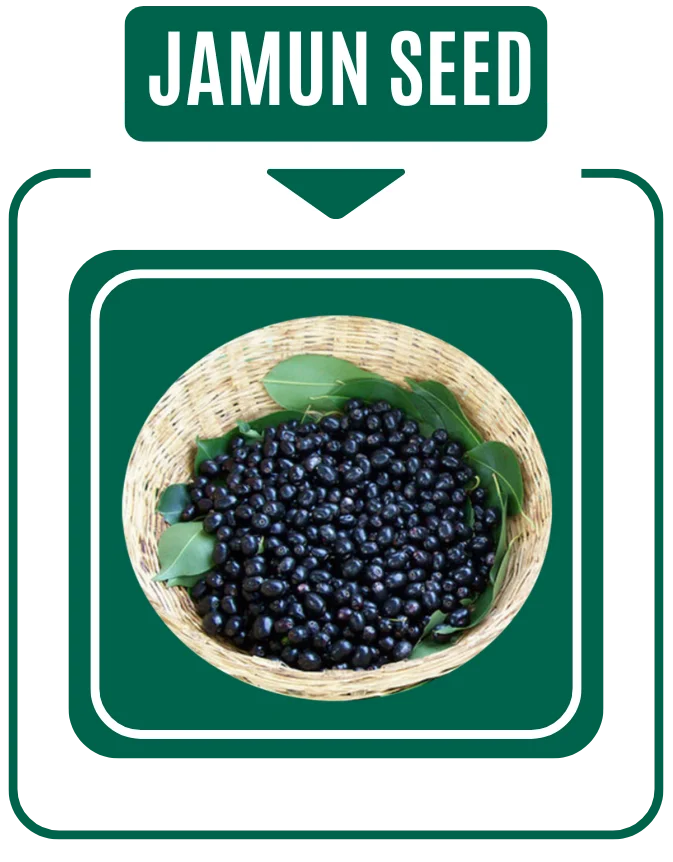Jamun Seed Extract