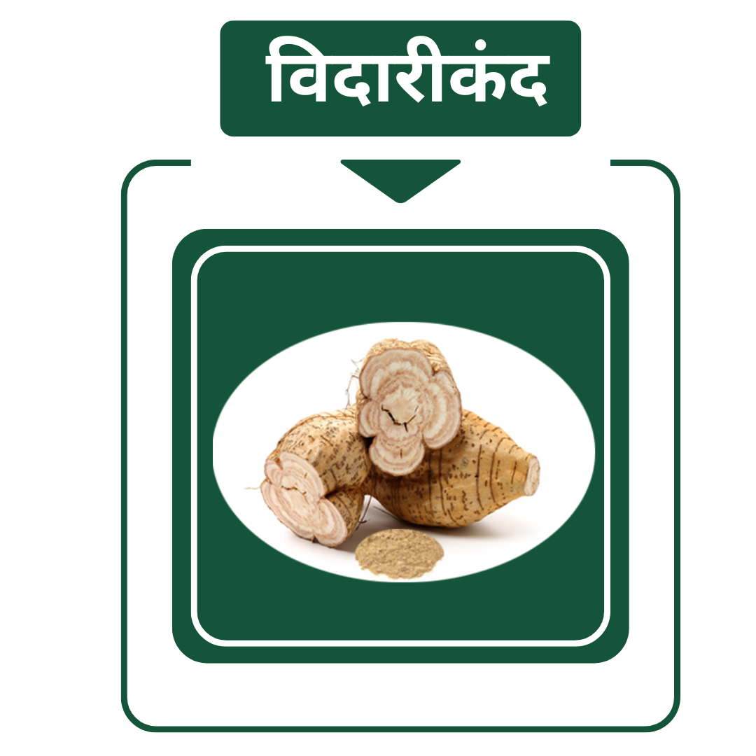 विदारीकंद