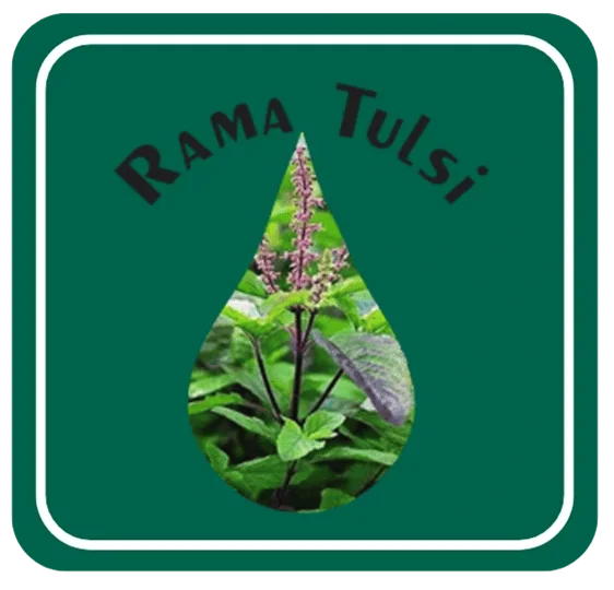 Rama Tulsi