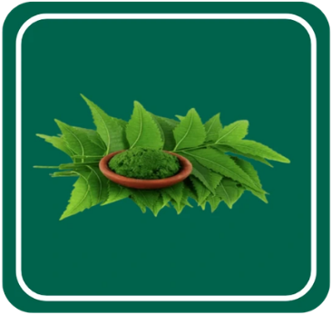Neem