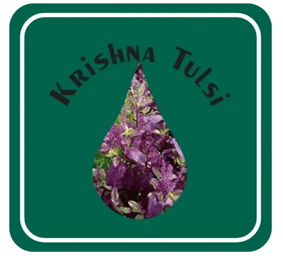 Krishna Tulsi
