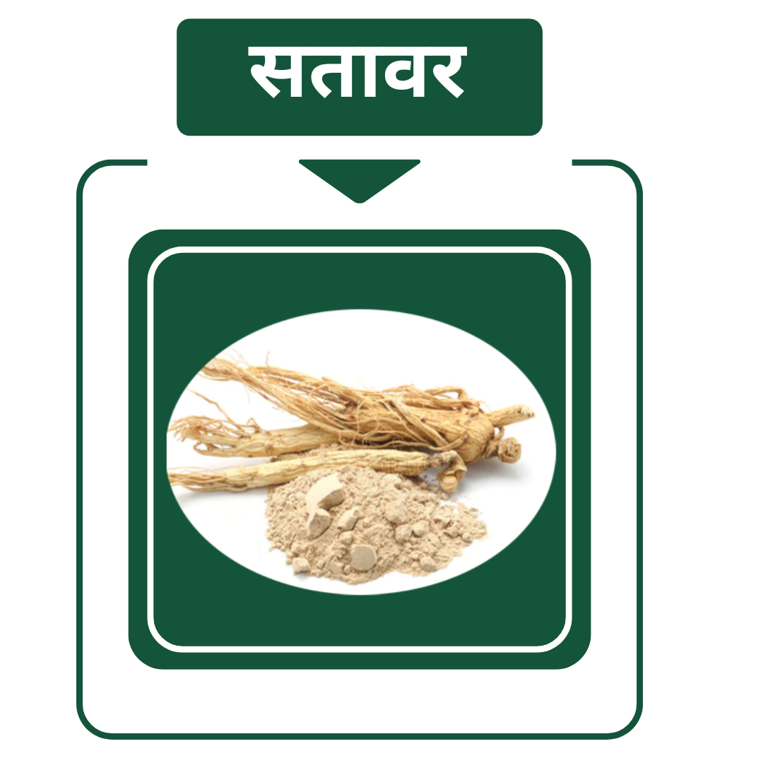 शतावर