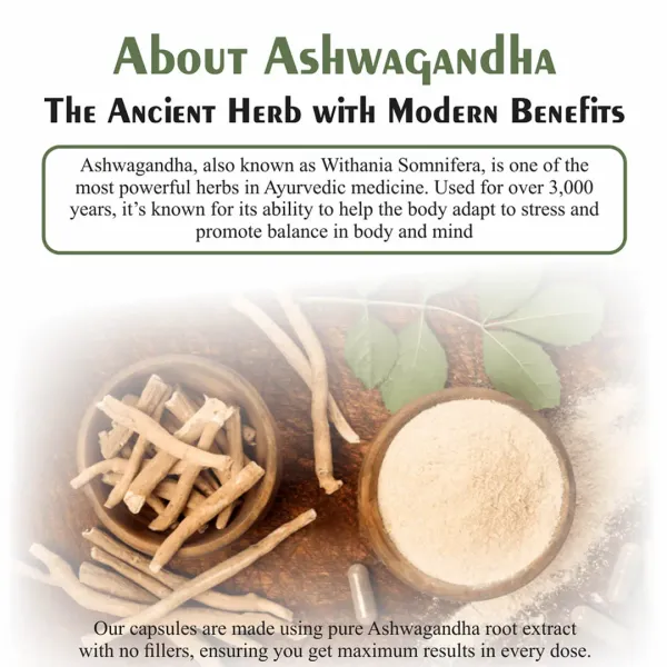 Nirog Lab Ashwagandha Capsule – Natural Stress & Energy Support