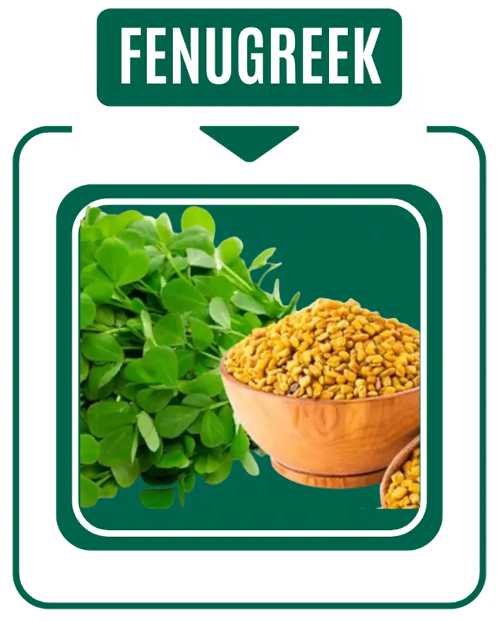 fenugreek