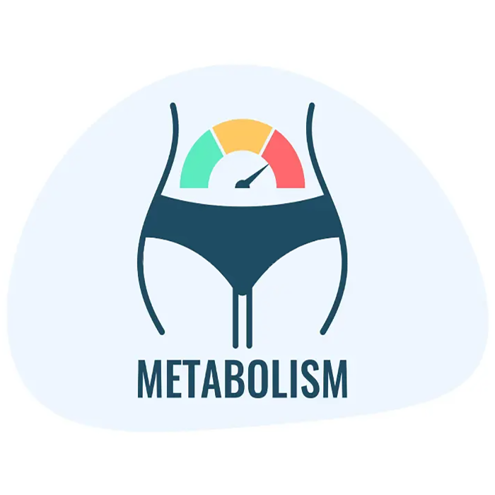 nirog lab metabolism weight management