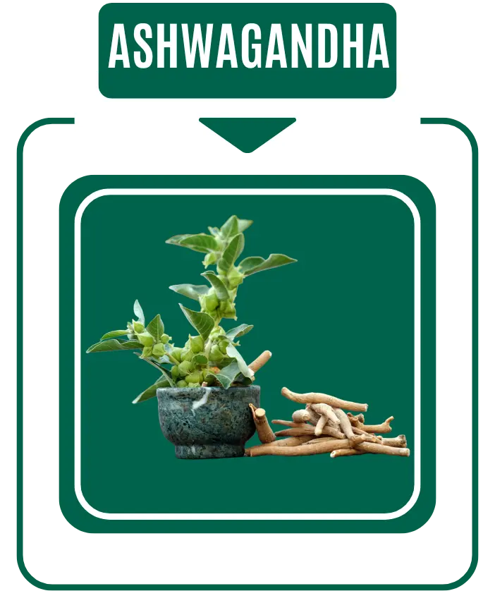 Ashwagandha Diabetic Care by Nirog Lab