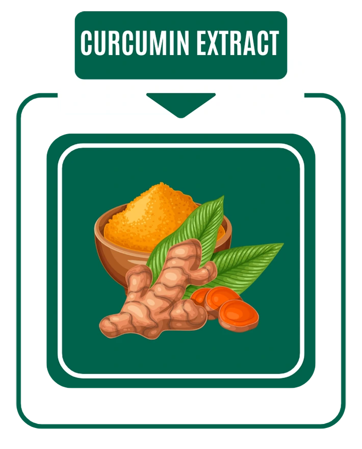 Curcumin Extract Tulsi Drop By Nirog Lab