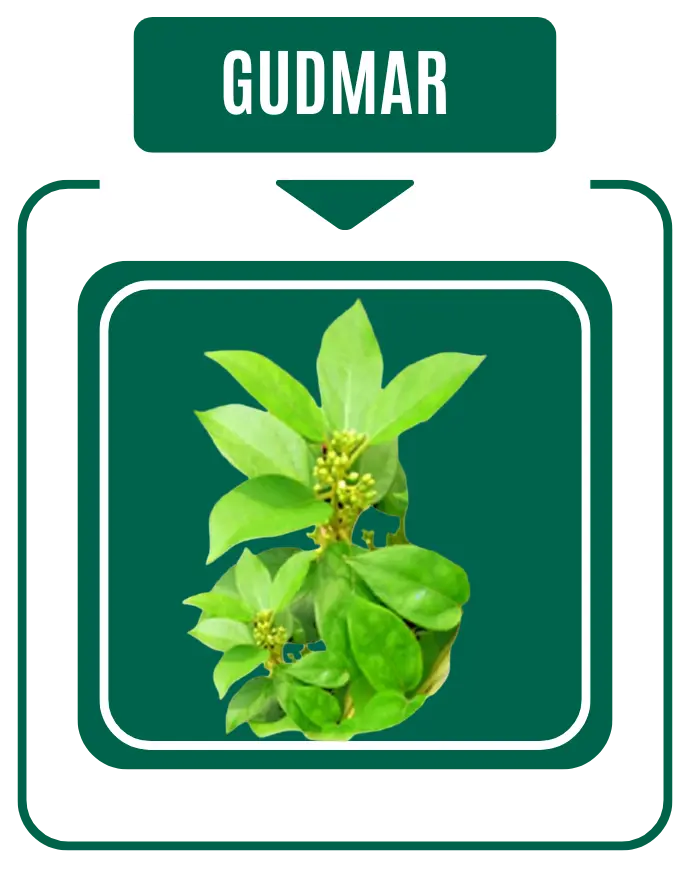 Gudmar Diabetic Care by Nirog Lab