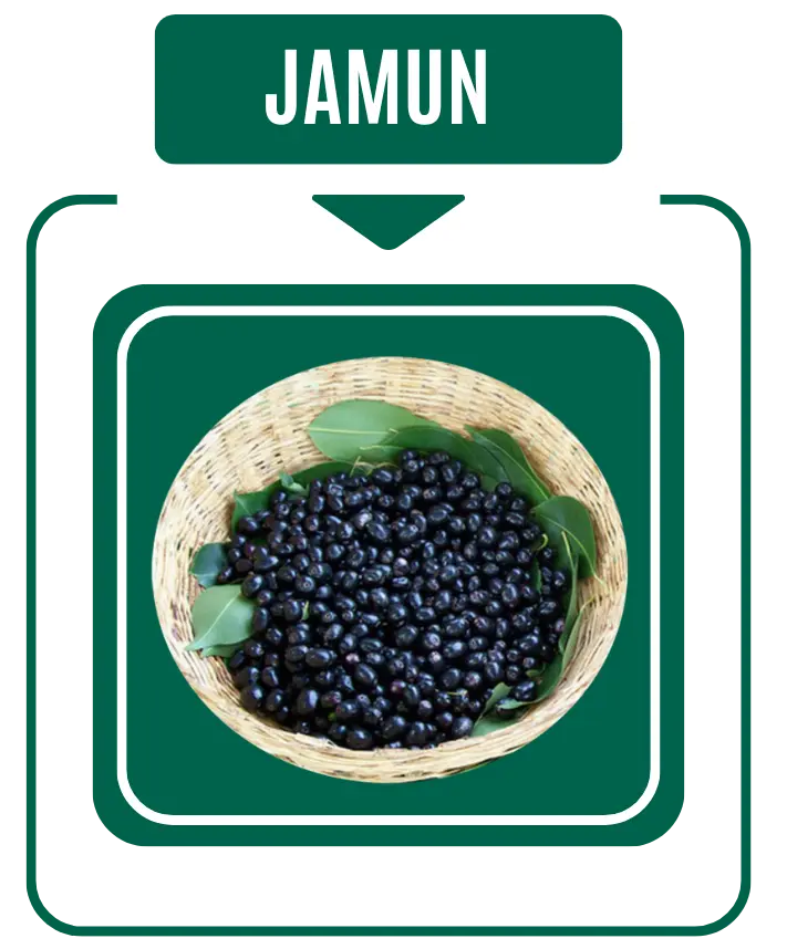 Jamun Diabetic Care by Nirog Lab
