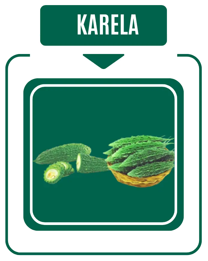 Karela Diabetic Care by Nirog Lab