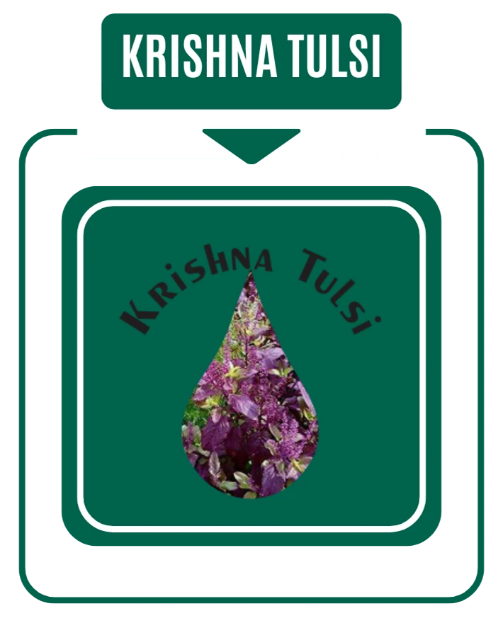Krishna Tulsi Drop By Nirog Lab