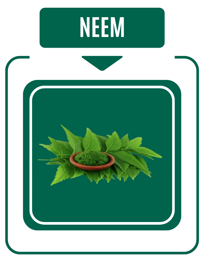 Neem Diabetic Care by Nirog Lab
