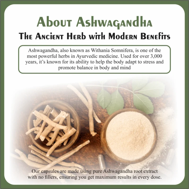 Nirog Lab Ashwagandha Capsule - Increases physical endurance, Boosts the immune system and Supports memory, focus, and mental clarity