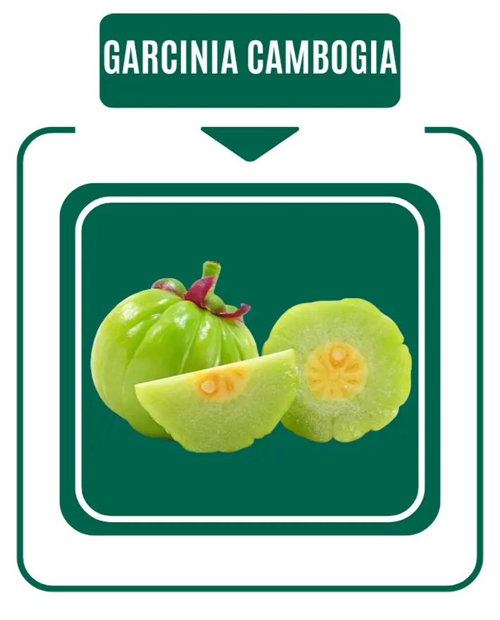 Nirog Lab ACV Tablets Weight Management Formula - Garcinia Cambogia