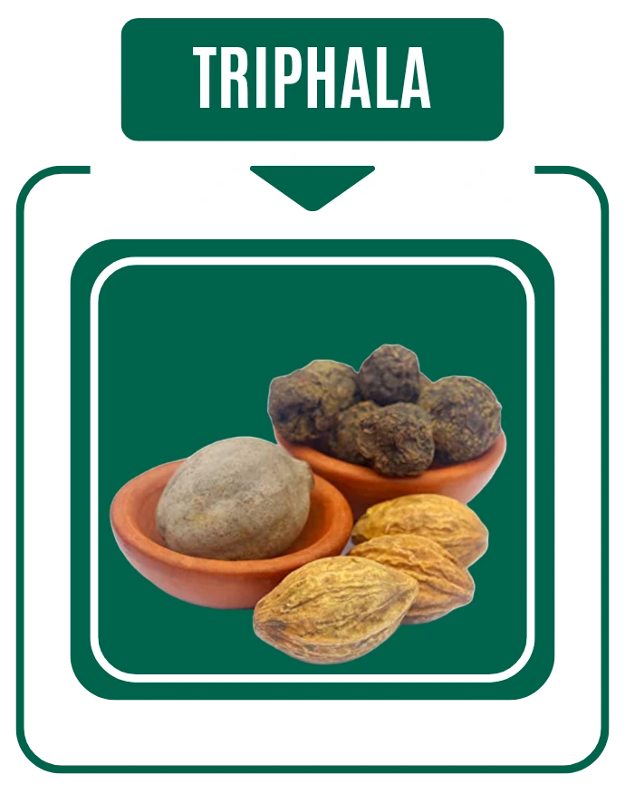 Triphala Diabetic Care by Nirog Lab