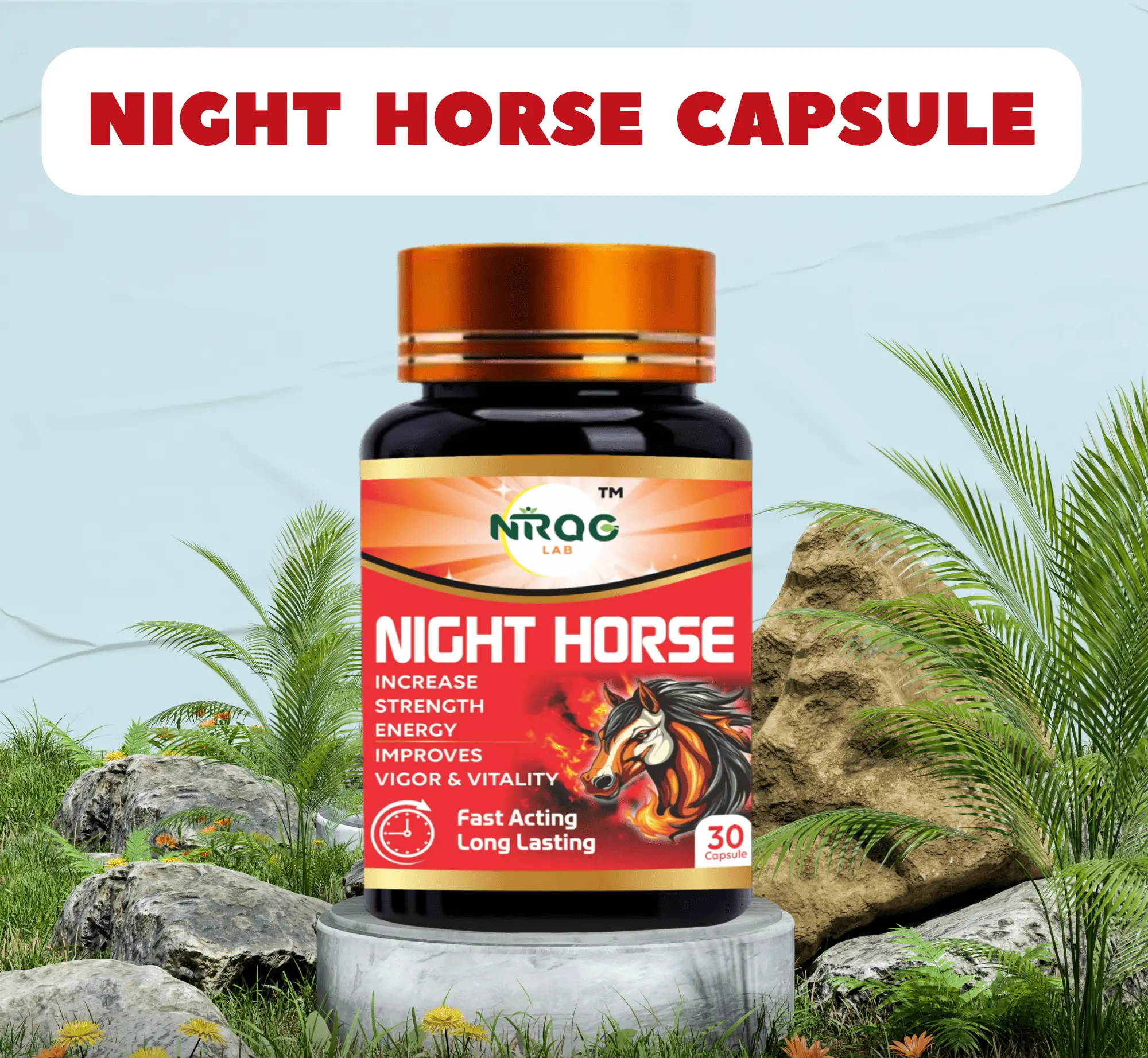 Supplement bottle with Night Horse Capsule - New 1